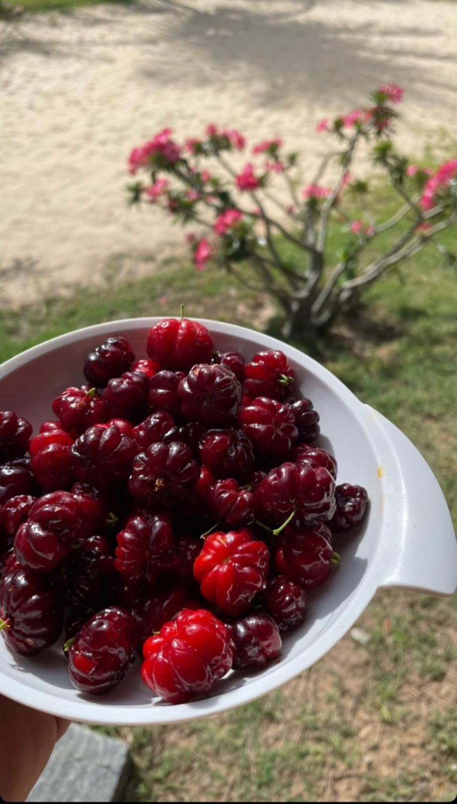 Vila Ybira Taíba Екстериор снимка